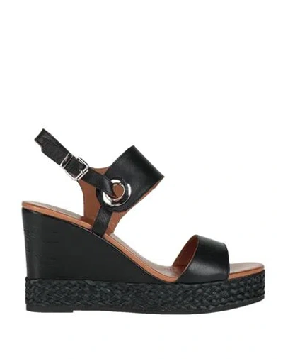 Inuovo Woman Sandals Black Size 7 Leather