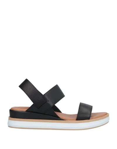 Inuovo Sandals In Black
