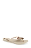 Ipanema Wave Heart Flip Flop In Beige/bronze