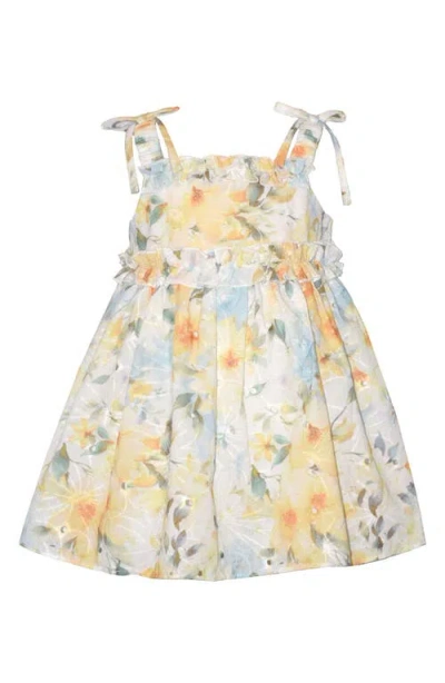 Iris & Ivy Babies'  Floral Embroidery Dress In Multi