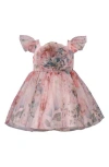 Iris & Ivy Floral Mesh Party Dress In Blush