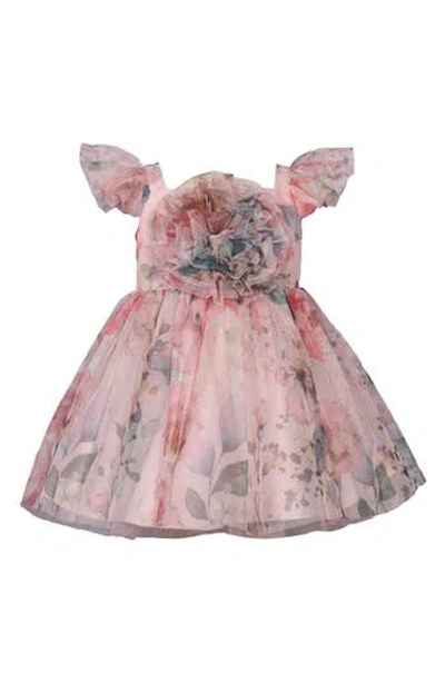 Iris & Ivy Babies'  Floral Mesh Party Dress In Blush