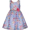 Iris & Ivy Kids' Floral Shadow Stripe Party Dress In Blue
