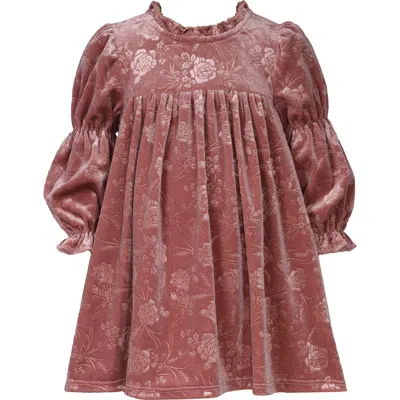 Iris & Ivy Babies'  Long Sleeve Velvet Dress In Brown