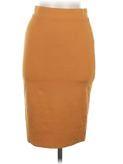 Pre-owned Iris Casual Skirt In Tan