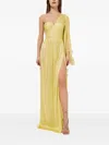 Iris Serban Anemona Pleated One-shoulder Dress In Yellow