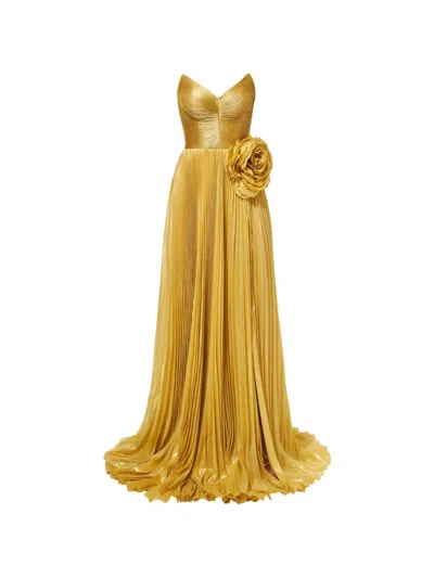 Iris Serban Mey Floral-appliqué Pleated Gown In Yellow