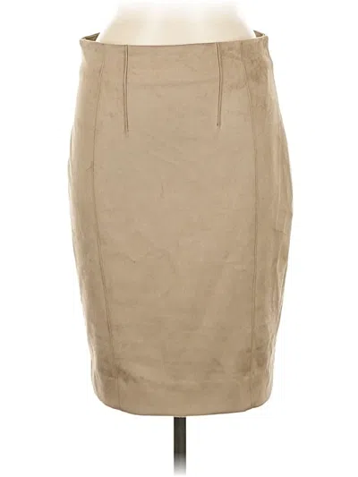 Pre-owned Iris Setlakwe Casual Skirt In Tan