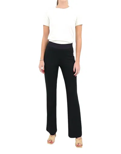 Iris Setlakwe Matte Jersey Straight Leg Pant In Black