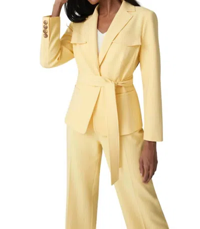 Iris Setlakwe Safari Fitted Jacket In Golden Haze In Multi