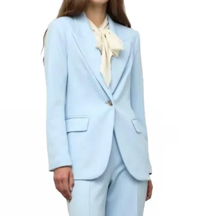 Iris Setlakwe Single Breasted Blazer In Sky Blue