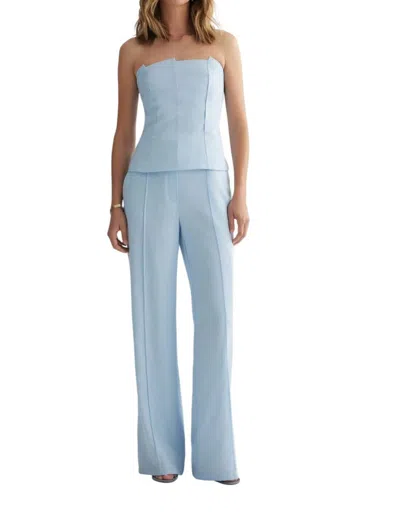 Iris Setlakwe Wide Leg Pants With Pintuck In Ice Blue