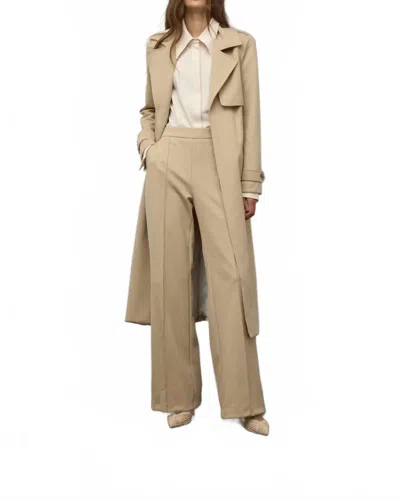 Iris Setlakwe Wide Leg Pintuck Pant In Taupe In Brown