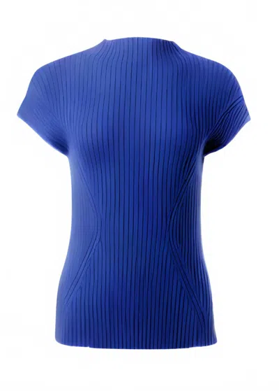 Iris Setlakwe Women's Cheminee Rib Top In Regal Blue