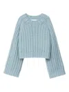Iris Von Arnim Round-neck Sweater In Blue