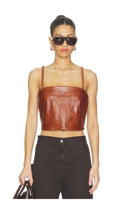 Iro Andria Top In Brown