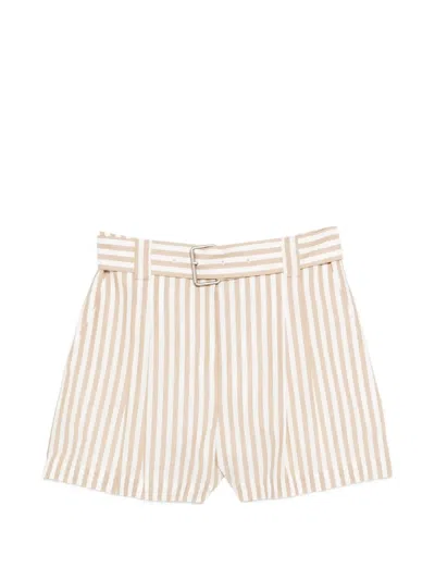 Iro Anemone Striped Belted Shorts In Neutral