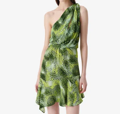Iro Inassa Dress In Green