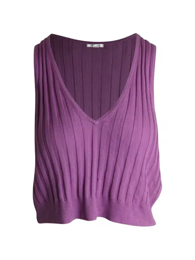 Pre-owned Iro Ribbed V-neck Top In Purple