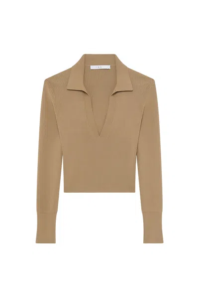 Iro Sweaters Brown In Marrone