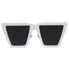 Irresistor Men's Sunglasses In White