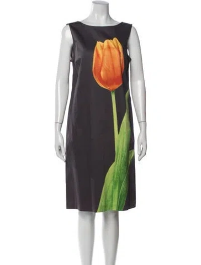 Pre-owned Isaac Mizrahi Floral Print Knee-length Dress In Blue