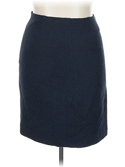 Pre-owned Isaac Mizrahi For Target Formal Skirt In Blue