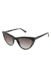 Isaac Mizrahi New York 52mm Cat Eye Sunglasses In Black