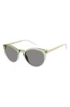 Isaac Mizrahi New York 52mm Round Sunglasses In Green