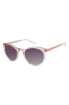 Isaac Mizrahi New York 52mm Round Sunglasses In Purple