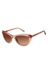 Isaac Mizrahi New York 54mm Cat Eye Sunglasses In Brown