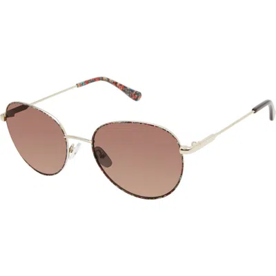 Isaac Mizrahi New York 54mm Round Sunglasses In Brown