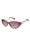 Isaac Mizrahi New York 57mm Round Sunglasses In Berry