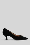 Isabel Ferranti Pumps In Black