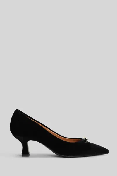 Isabel Ferranti Pumps In Black