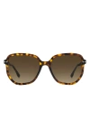 Isabel Marant 52mm Round Sunglasses In Brown