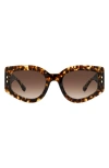 Isabel Marant Gradient Acetate Cat-eye Sunglasses In Hvn