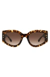 Isabel Marant Gradient Acetate Cat-eye Sunglasses In Havana/ Brown Gradient