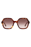 Isabel Marant Brown Havana Acetate Sunglasses In Brown Havana/brown Gradient