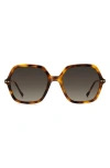 Isabel Marant 56mm Gradient Square Sunglasses In Havana Gold/brown Sf