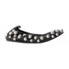 Isabel Marant Belna Ballerinas