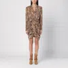Isabel Marant Cleora Snake Print Mini Dress