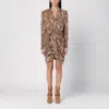 Isabel Marant Cleora Snake Print Mini Dress