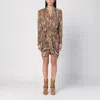 Isabel Marant Cleora Snake Print Mini Dress