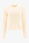 Isabel Marant Étoile Gabyne Ribbed Knit Sweater