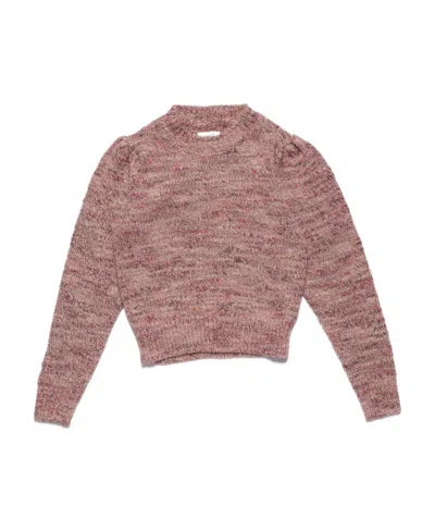 Isabel Marant Étoile Pleany Crewneck Knitted Jumper In Brown