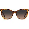 Isabel Marant Gradient Round Sunglasses In Havana