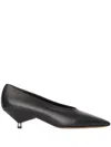 Isabel Marant Ebisa 45 Calf Leather Pumps In Black