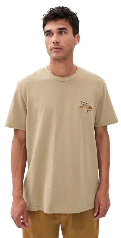 Isabel Marant Honore T-shirt Bronze In Brown