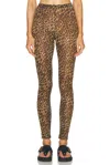 Isabel Marant Joshua Legging In Leopard